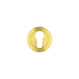 High quality image of the Rosso Maniglie - Euro Profile Escutcheon 50mm dia - Satin Brass | Sku. rm001sb | available to order from Trade Door Handles.