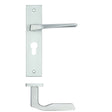 High quality image of the Rosso Maniglie - Lyra Lever Euro Lock (47.5mm c/c) On Backplate - 190x42mm - Satin Chrome | Sku. rm091epsc | available to order from Trade Door Handles.
