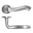 High quality image of the Rosso Maniglie - Rococo Lever On Round Rose, Finish - Satin Chrome | Sku. rm190sc | available to order from Trade Door Handles.