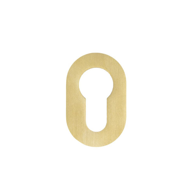 High quality image of the Rosso Tecnica - Euro Profile Escutcheons (Pair) - Rosso Mini - 50 x 32 x 3 - PVD Satin Brass | Sku. RT001-MINI-PVDSB | available to order from Trade Door Handles.