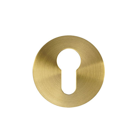 High quality image of the Rosso Tecnica - Euro Profile Escutcheon (Pair) - Rosso Slim - 4mm - PVD Satin Brass | Sku. RT001-SLIM-PVDSB | available to order from Trade Door Handles.