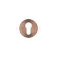 High quality image of the Rosso Tecnica - Euro Profile Escutcheon - Rosso - PVD Satin Bronze | Sku. rt001pvdbz | available to order from Trade Door Handles.