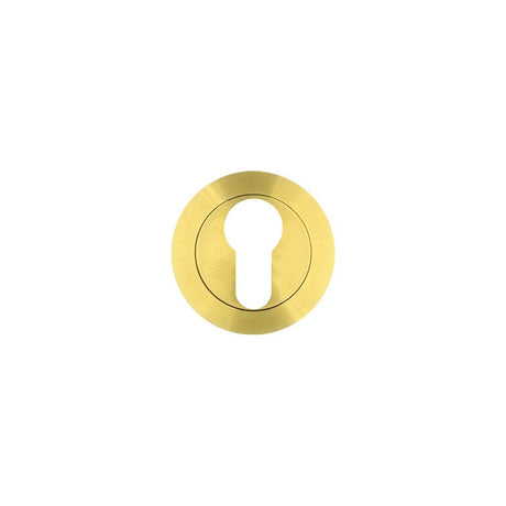 High quality image of the Rosso Tecnica - Euro Profile Escutcheon - Rosso - PVD Satin Brass | Sku. rt001pvdsb | available to order from Trade Door Handles.