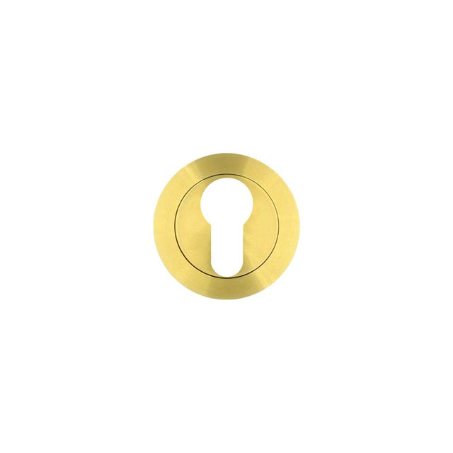 High quality image of the Rosso Tecnica - Euro Profile Escutcheon - Rosso - PVD Satin Brass | Sku. rt001pvdsb | available to order from Trade Door Handles.