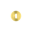 High quality image of the Rosso Tecnica - Standard Profile Escutcheon - PVD Satin Brass | Sku. rt002pvdsb | available to order from Trade Door Handles.