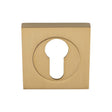 Serozzetta Accessories Satin Brass / Escutcheons Serozzetta - Square Euro Profile Escutcheon - Satin Brass