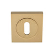 Serozzetta Accessories Satin Brass / Escutcheons Serozzetta - Square Standard Lock Profile Escutcheon - Satin Brass