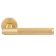 High quality image of Manital - Syntax Lever On round Rose - Satin Brass | Sku. sx5sb | Trade Door Handles.