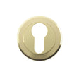 High quality image of Serozzetta - Euro Profile Escutcheon - Stainless Brass | Sku. szm001pvd | Trade Door Handles.