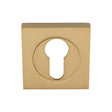 High quality image of Serozzetta - Square Euro Profile Escutcheon - Satin Brass | Sku. szm001sqsb | Trade Door Handles.