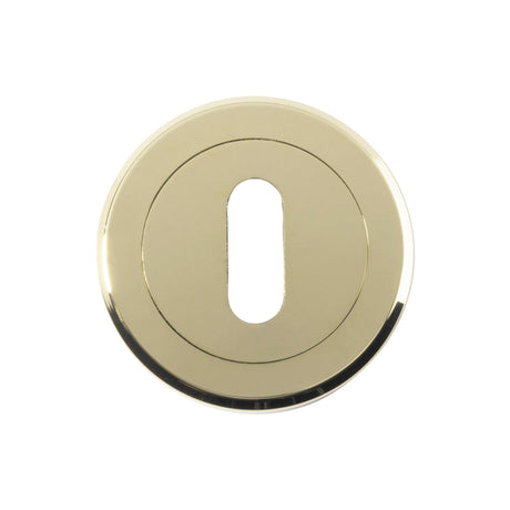 High quality image of Serozzetta - Standard Profile Escutcheon - Stainless Brass | Sku. szm003pvd | Trade Door Handles.