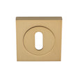 High quality image of Serozzetta - Square Standard Lock Profile Escutcheon - Satin Brass | Sku. szm003sqsb | Trade Door Handles.