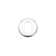 High quality image of the Zoo Hardware - Escutcheons Oval Profile 51.5mm - Satin Aluminium | Sku. zca003sa | available to order from Trade Door Handles.