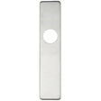 High quality image of the Zoo Hardware - Cover plate for 19 mm and 22mm RTD Lever on Backplate - Latch - Stain Stainless Steel | Sku. zcs32ss | available to order from Trade Door Handles.