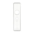High quality image of the Zoo Hardware - Cover plate for 19 mm RTD Lever on Short Backplate - Euro Profile 47.5mm - 45mm x180mm - Polished Stainless Steel | Sku. zcs41epps | available to order from Trade Door Handles.