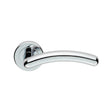 High quality image of Serozzetta - Noxia Lever On Rose - Polished Chrome | Sku. zin3003pc | Trade Door Handles.