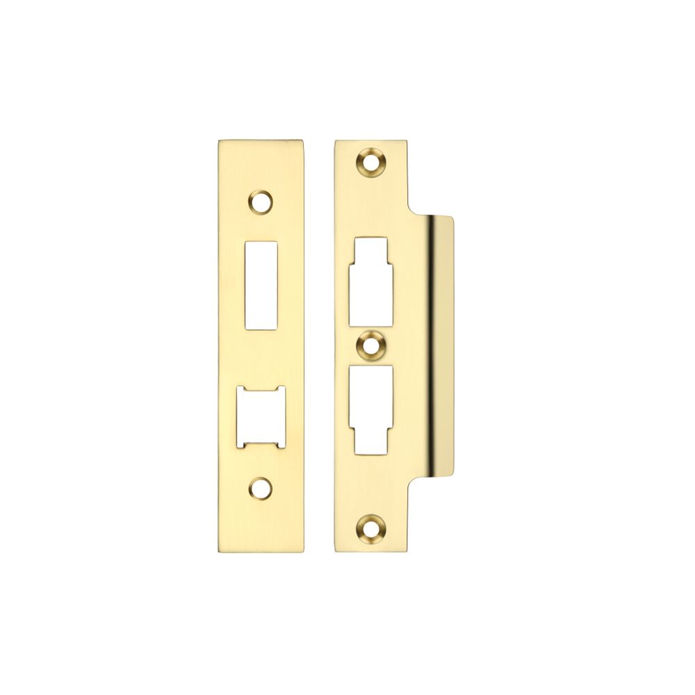 High quality image of the Zoo Hardware - Spare Acc Pk for UK Horizontal 3L Locks - *BLANK* - Contains Forend, Strike and Fixing Screws (Lock Version) - Polished Brass | Sku. zlap16bpb | available to order from Trade Door Handles.