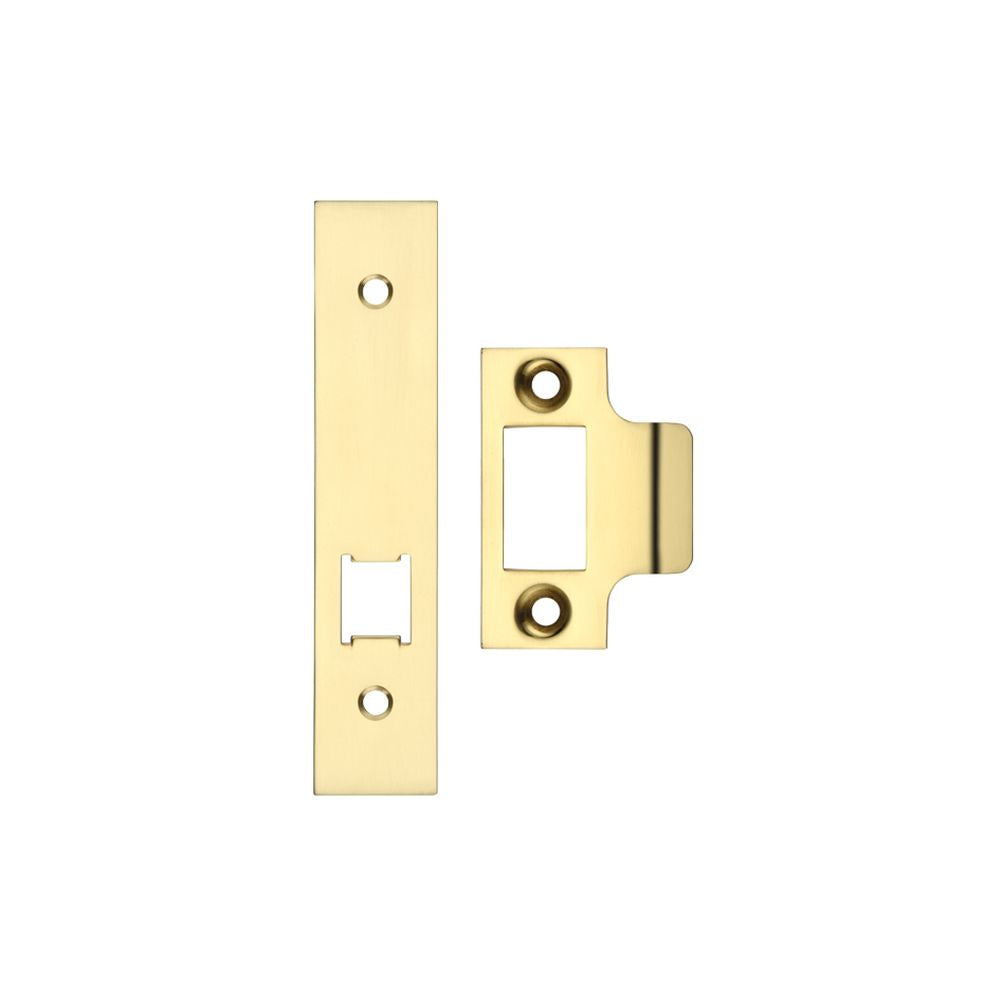 High quality image of the Zoo Hardware - Spare Acc Pk for UK Horizontal Latch - *BLANK* - Contains Forend, Strike and Fixing Screws (Latch Version) - Polished Brass | Sku. zlap17bpb | available to order from Trade Door Handles.