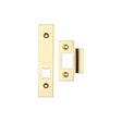 High quality image of the Zoo Hardware - Spare Acc Pk for UK Horizontal Latch - contains Forend, Strike and Fixing Screws (latch Version) - Polished Brass | Sku. zlap17pb | available to order from Trade Door Handles.