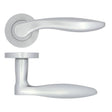 High quality image of the STANZA - Cadiz Lever on Rose - Satin Chrome | Sku. zpa060-sc | available to order from Trade Door Handles.