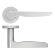 High quality image of the STANZA - Vigo Lever on Rose - Satin Chrome | Sku. zpa080-sc | available to order from Trade Door Handles.