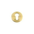 High quality image of the STANZA - Escutcheon Euro-Profile (50mm Dia.) - Favo Satin Brass | Sku. zpz001-fsb | available to order from Trade Door Handles.