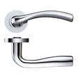 High quality image of the STANZA - Siena Lever - Screw On Rose - Polished Chrome | Sku. zpz050cp | available to order from Trade Door Handles.