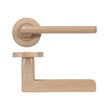 High quality image of the STANZA - Venice Lever - Screw On Rose - Tuscan Rose Gold | Sku. zpz070-trg | available to order from Trade Door Handles.