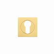 High quality image of the STANZA - Square Escutcheon - Euro Profile - Favo Satin Brass | Sku. zpzsq001-fsb | available to order from Trade Door Handles.