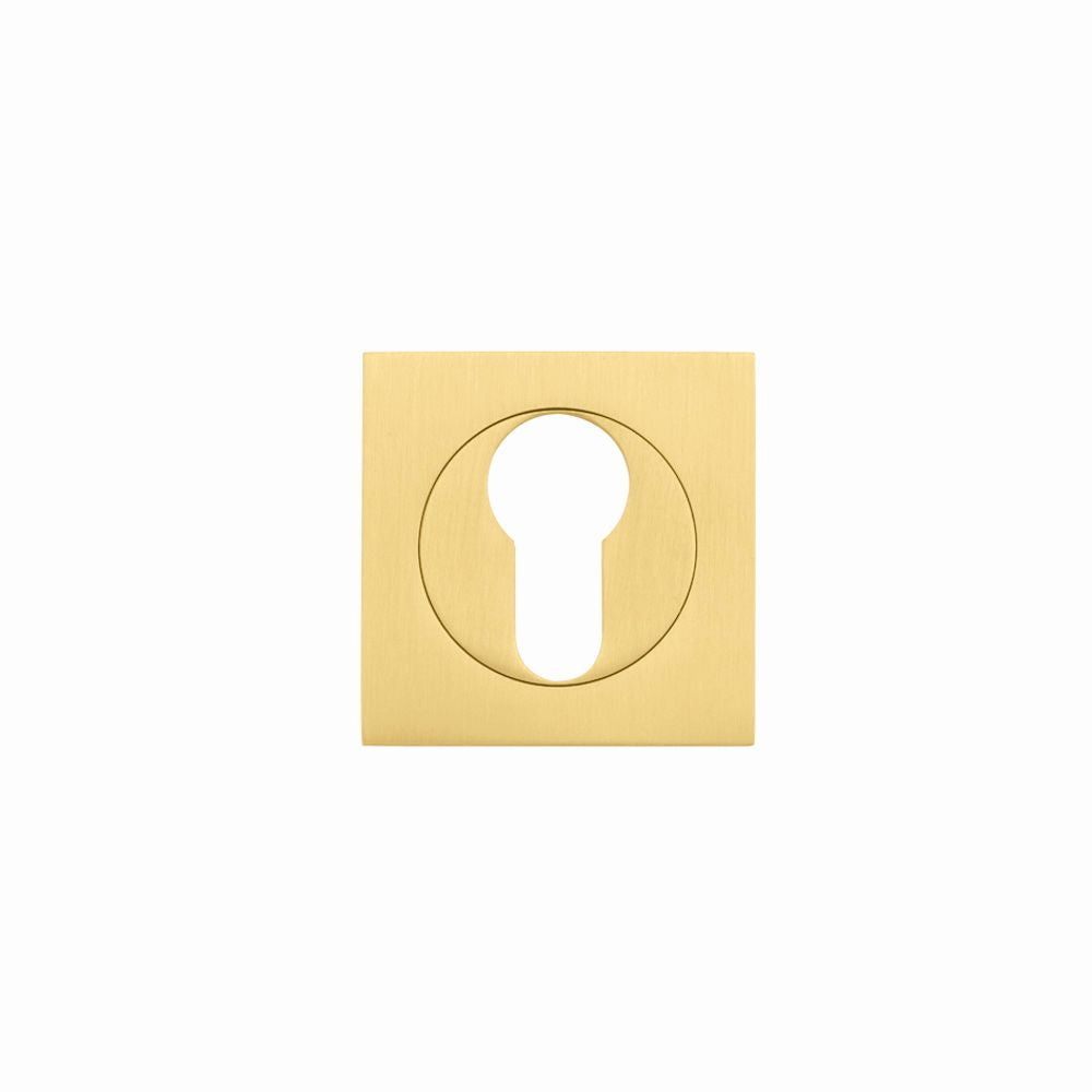 High quality image of the STANZA - Square Escutcheon - Euro Profile - Favo Satin Brass | Sku. zpzsq001-fsb | available to order from Trade Door Handles.