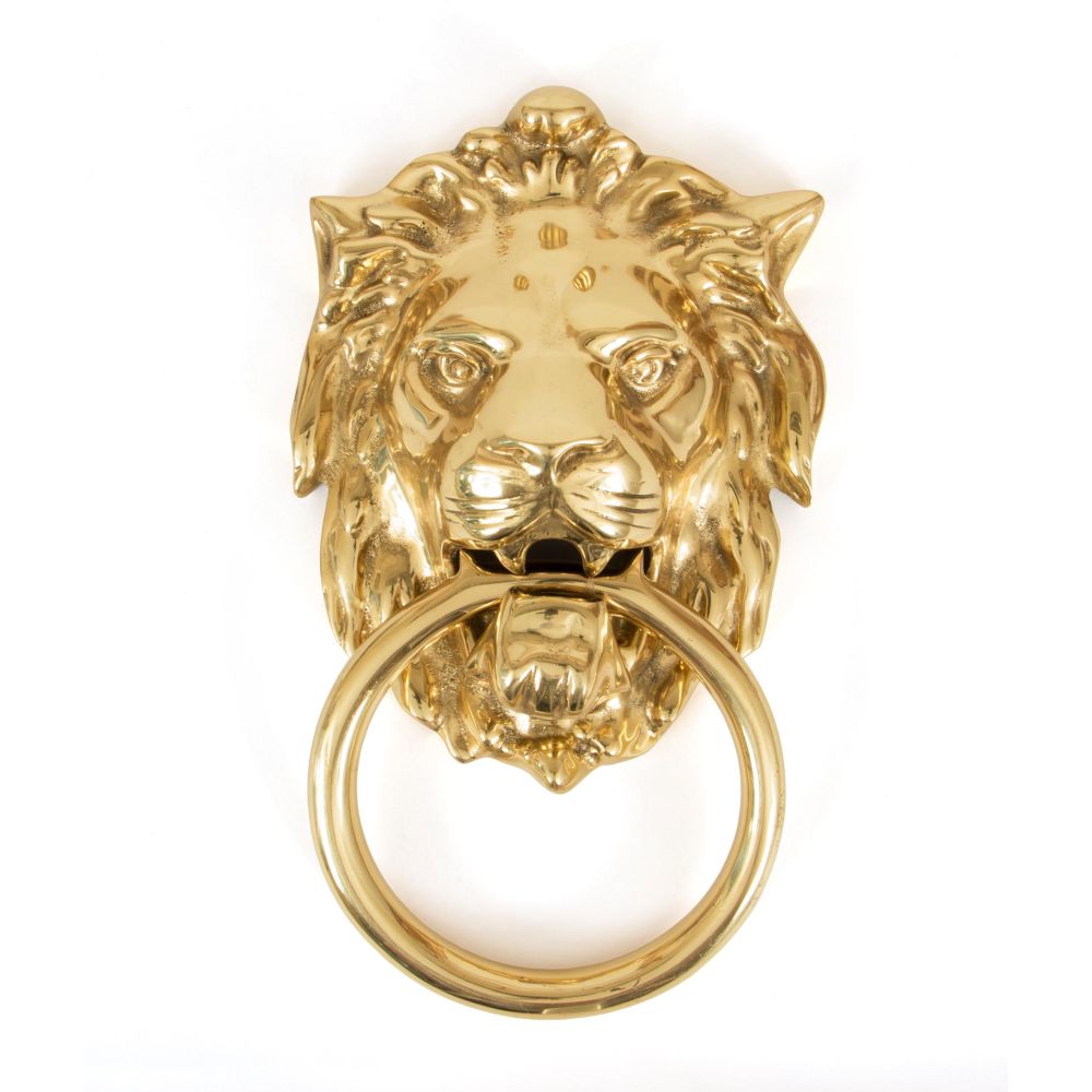 This is an image showing From The Anvil - Polished Brass Lion Head Door Knocker available from trade door handles, quick delivery and discounted prices