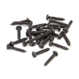 This is an image showing From The Anvil - Beeswax 6 x 3/4" Round Head Screws (25) available from trade door handles, quick delivery and discounted prices