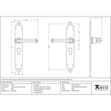 This is an image showing From The Anvil - Black Tudor Lever Euro Lock Set available from trade door handles, quick delivery and discounted prices