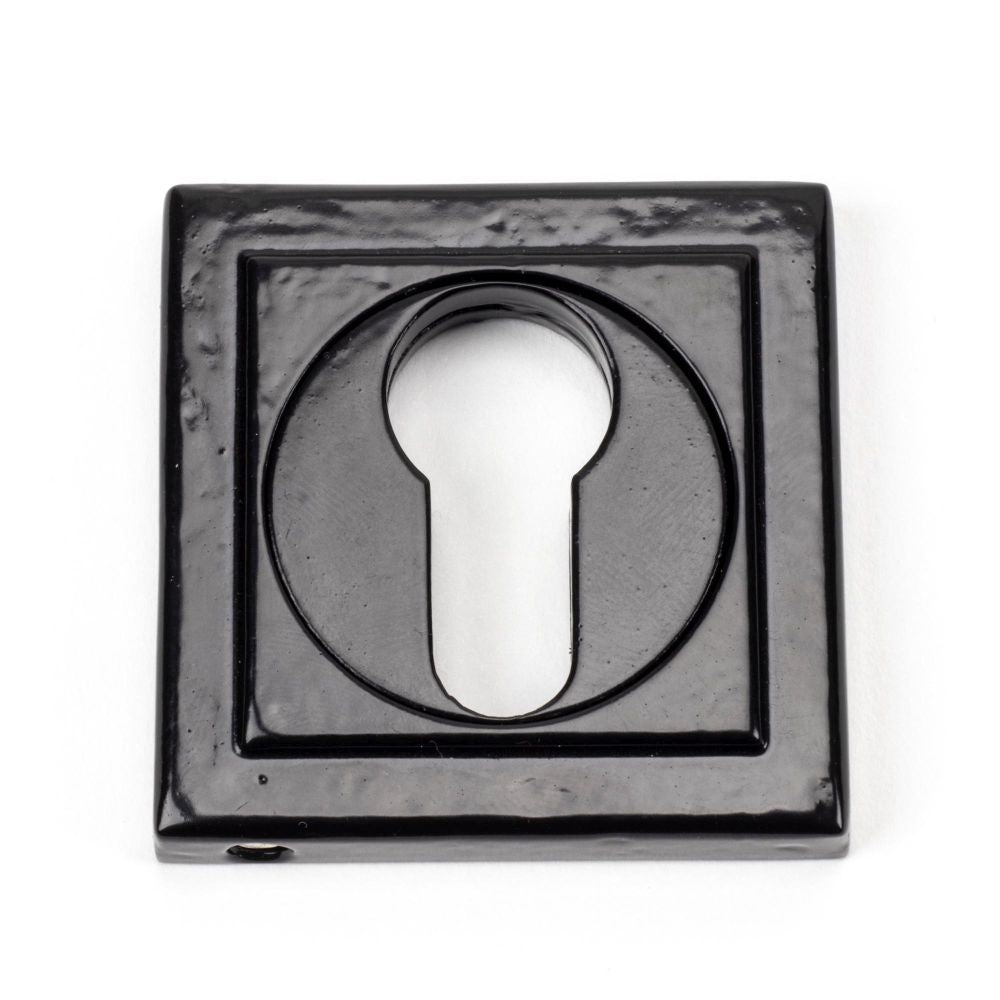 This is an image showing From The Anvil - Black Round Euro Escutcheon (Square) available from trade door handles, quick delivery and discounted prices