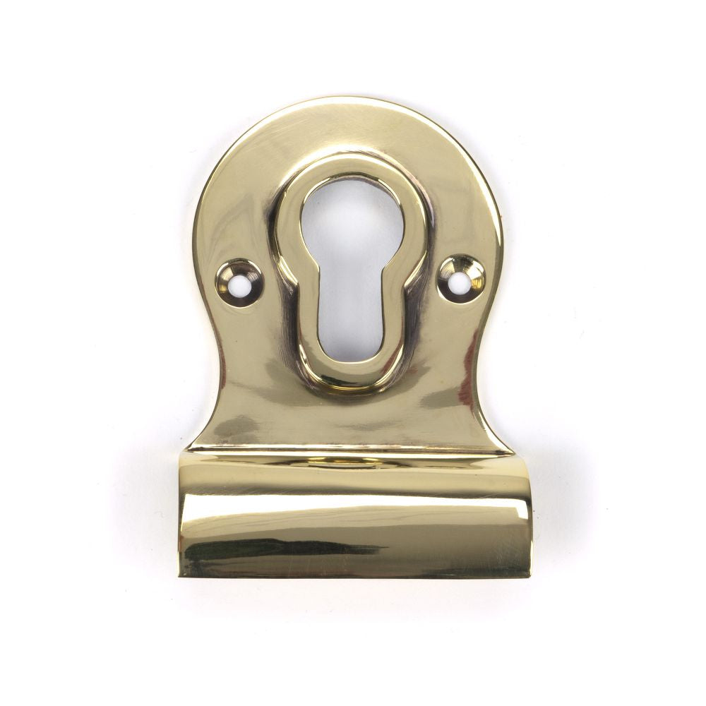 This is an image showing From The Anvil - Aged Brass Euro Door Pull available from trade door handles, quick delivery and discounted prices