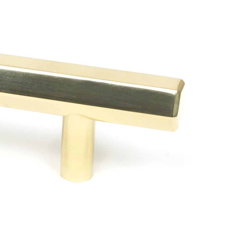 This is an image showing From The Anvil - Polished Brass Kahlo Pull Handle - Small available from trade door handles, quick delivery and discounted prices