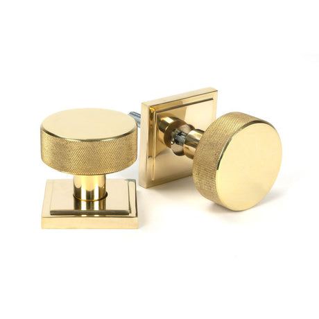 This is an image showing From The Anvil - Polished Brass Brompton Mortice/Rim Knob Set Knob (Square) available from trade door handles, quick delivery and discounted prices