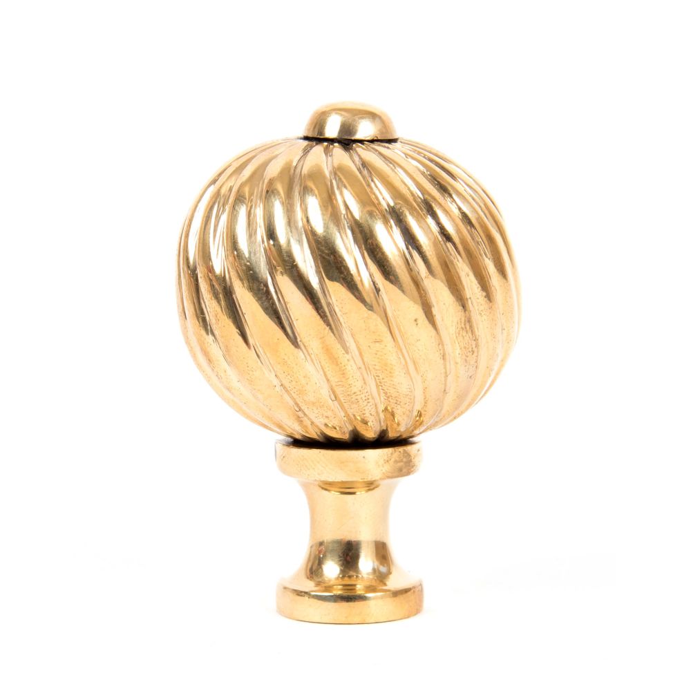 This is an image showing From The Anvil - Polished Brass Spiral Cabinet Knob - Medium available from trade door handles, quick delivery and discounted prices