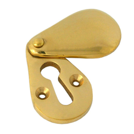This is an image showing From The Anvil - Polished Brass Plain Escutcheon available from trade door handles, quick delivery and discounted prices