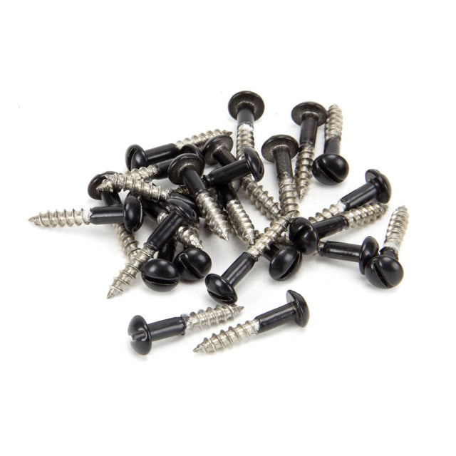 This is an image showing From The Anvil - Black SS 3.5 x 20  Roundhead Screws (25) available from trade door handles, quick delivery and discounted prices