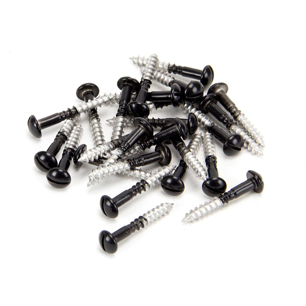 This is an image showing From The Anvil - Black SS 3.5 x 25  Roundhead Screws (25) available from trade door handles, quick delivery and discounted prices