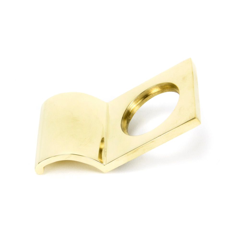 This is an image showing From The Anvil - Polished Brass Rim Cylinder Pull available from trade door handles, quick delivery and discounted prices