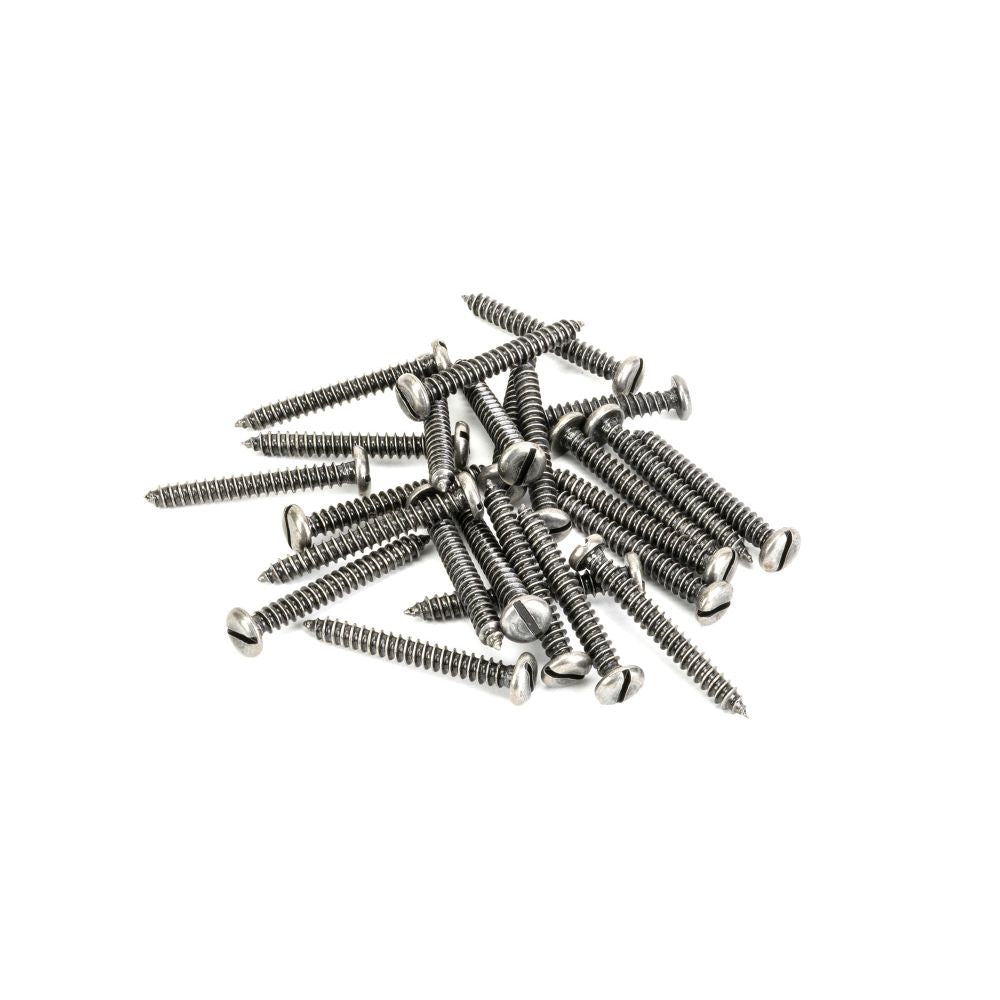 This is an image showing From The Anvil - Pewter 10x1?" Round Head Screws (25) available from trade door handles, quick delivery and discounted prices