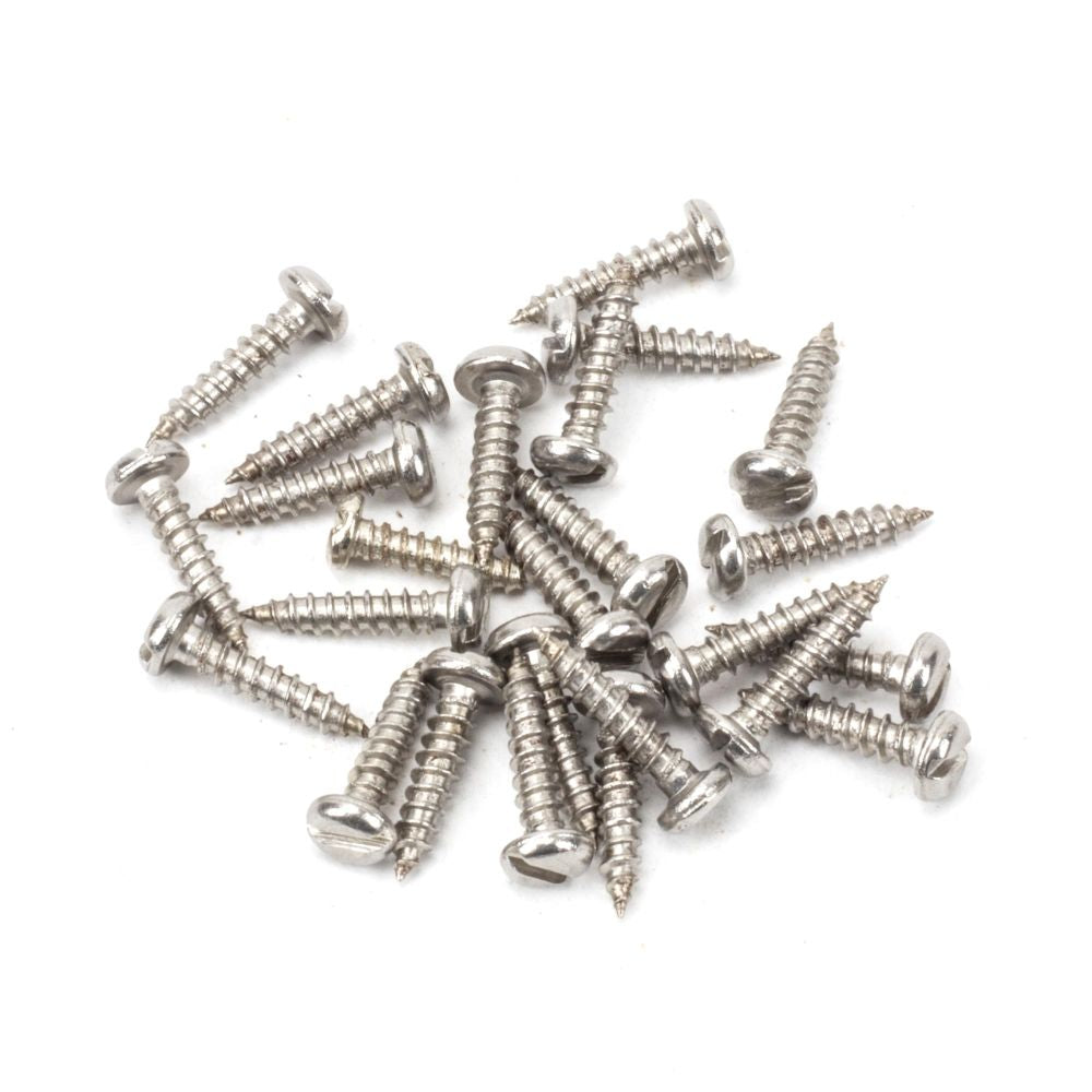 This is an image showing From The Anvil - Stainless Steel 4x?" Round Head Screws (25) available from trade door handles, quick delivery and discounted prices