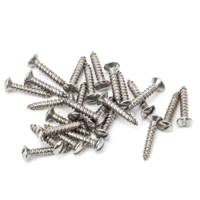 This is an image showing From The Anvil - Stainless Steel 4x?" Countersunk Raised Head Screws (25) available from trade door handles, quick delivery and discounted prices