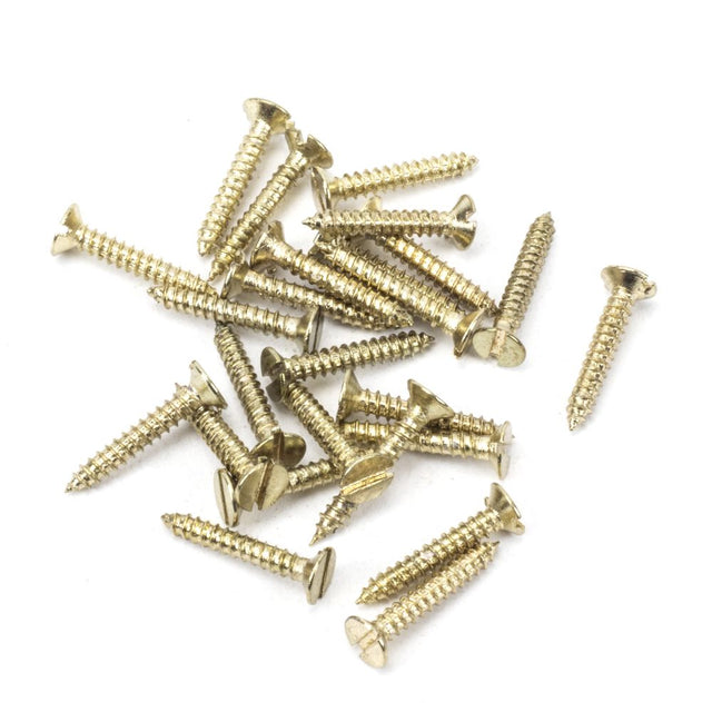 This is an image showing From The Anvil - Polished Brass SS 4x?" Countersunk Screws (25) available from trade door handles, quick delivery and discounted prices