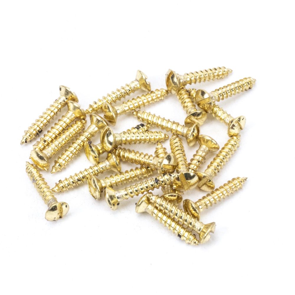 This is an image showing From The Anvil - Polished Brass SS 6x?" Countersunk Raised Head Screws (25) available from trade door handles, quick delivery and discounted prices