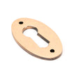 This is an image showing From The Anvil - Polished Bronze Oval Escutcheon available from trade door handles, quick delivery and discounted prices