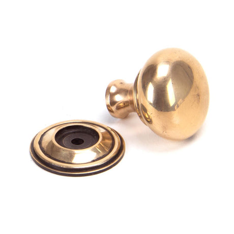 This is an image showing From The Anvil - Polished Bronze Mushroom Cabinet Knob 32mm available from trade door handles, quick delivery and discounted prices