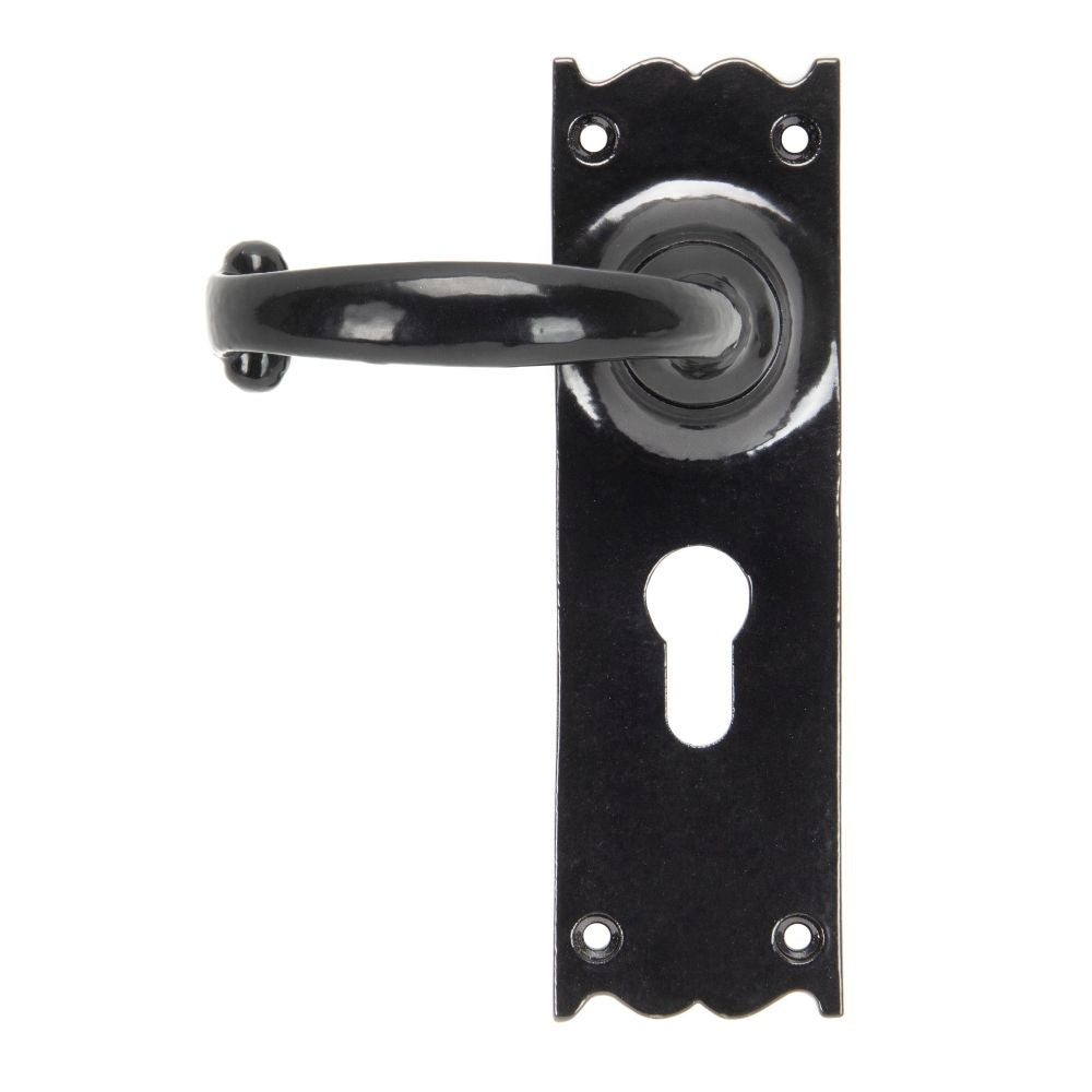 This is an image showing From The Anvil - Black Cottage Lever Euro Lock Set available from trade door handles, quick delivery and discounted prices